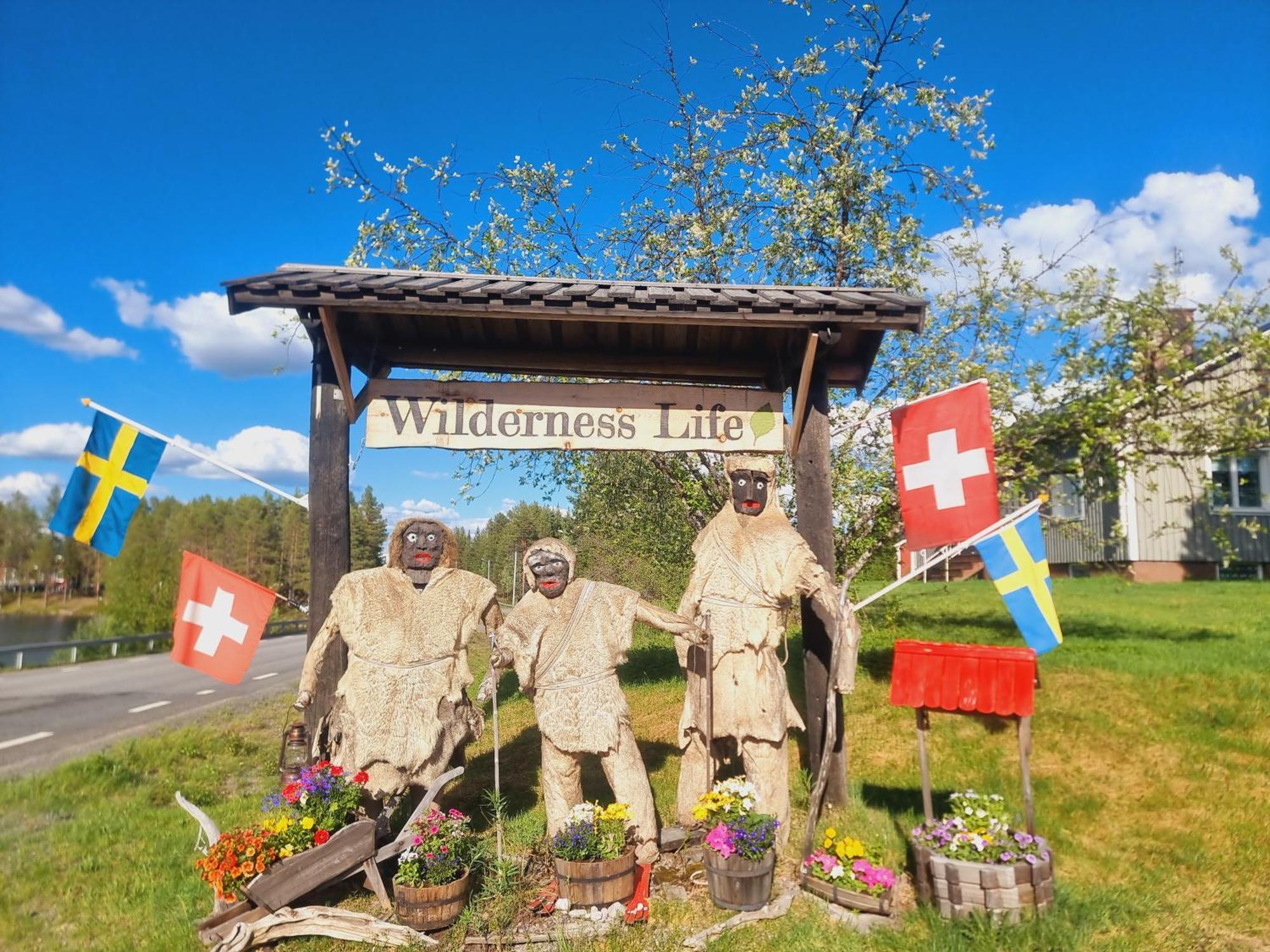 Elch Zimmer Wilderness Life Arvidsjaur Dış mekan fotoğraf